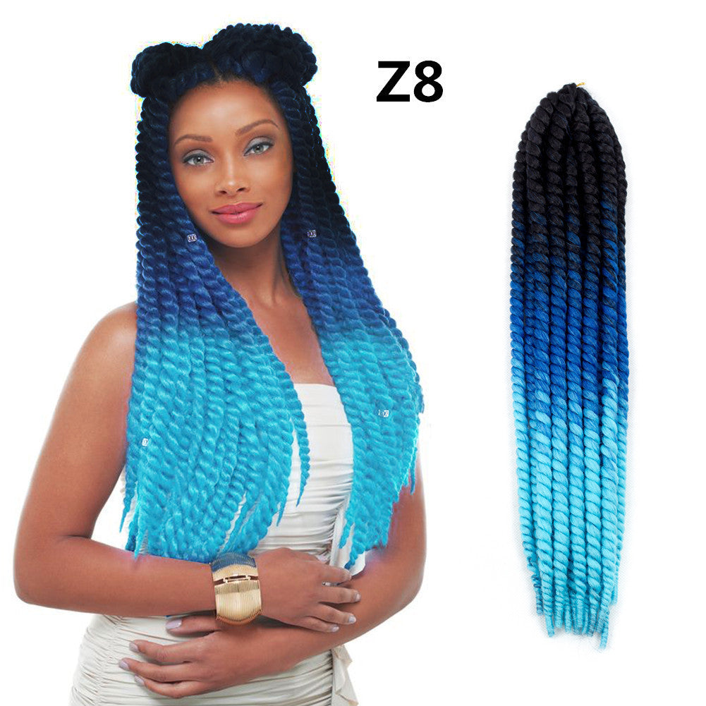 Spring Braid Wig 22 Inches