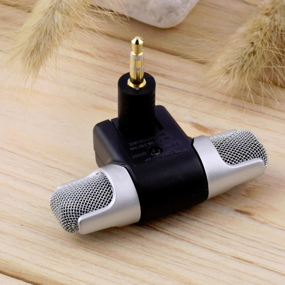 Portable Microphone